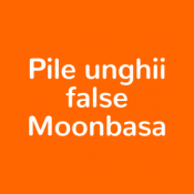 Pile unghii false Moonbasa (15)
